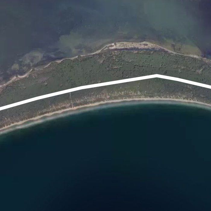 pineta della Feniglia