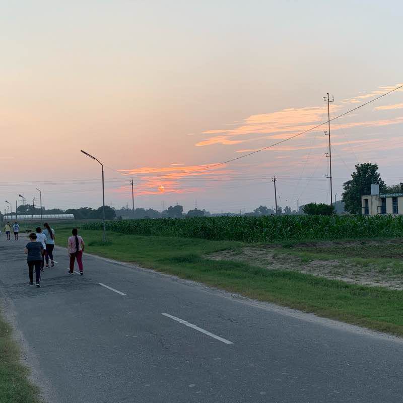 PAU (Sukhwinder) walking route map in Ludhiana