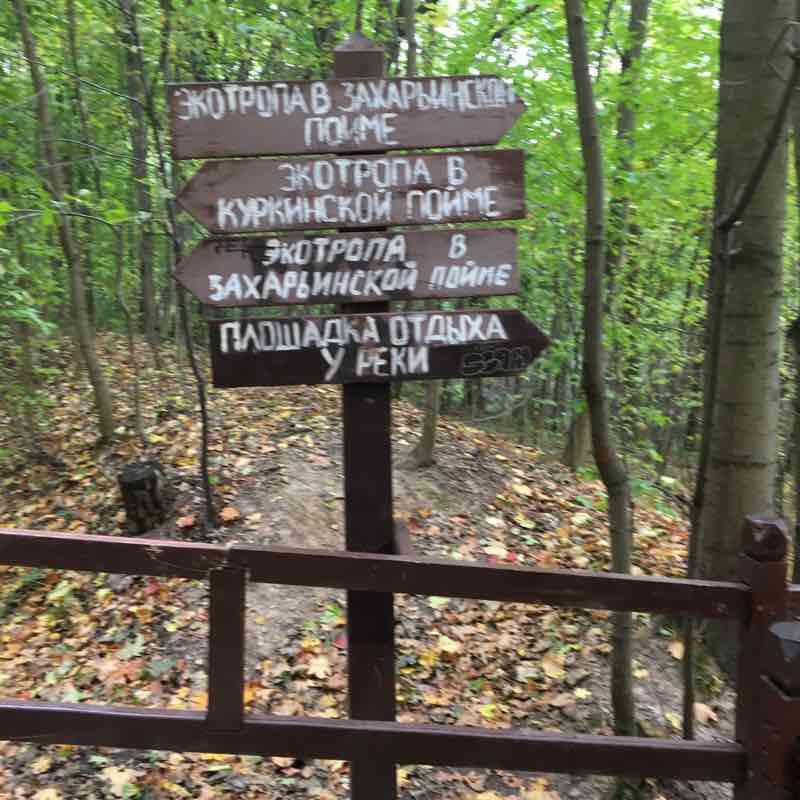 Долина реки Сходня 