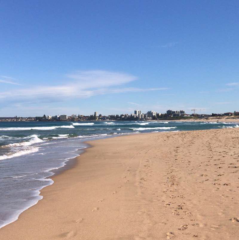 Beach walk walking route map in Cronulla