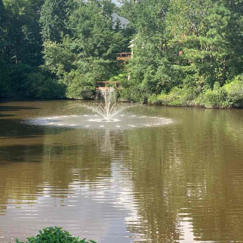 Short neighborhood walk Trail Irmo, South Carolina, USA Pacer