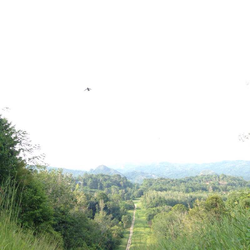 Petronas Bukit Kg Ward walking route map in Sipitang