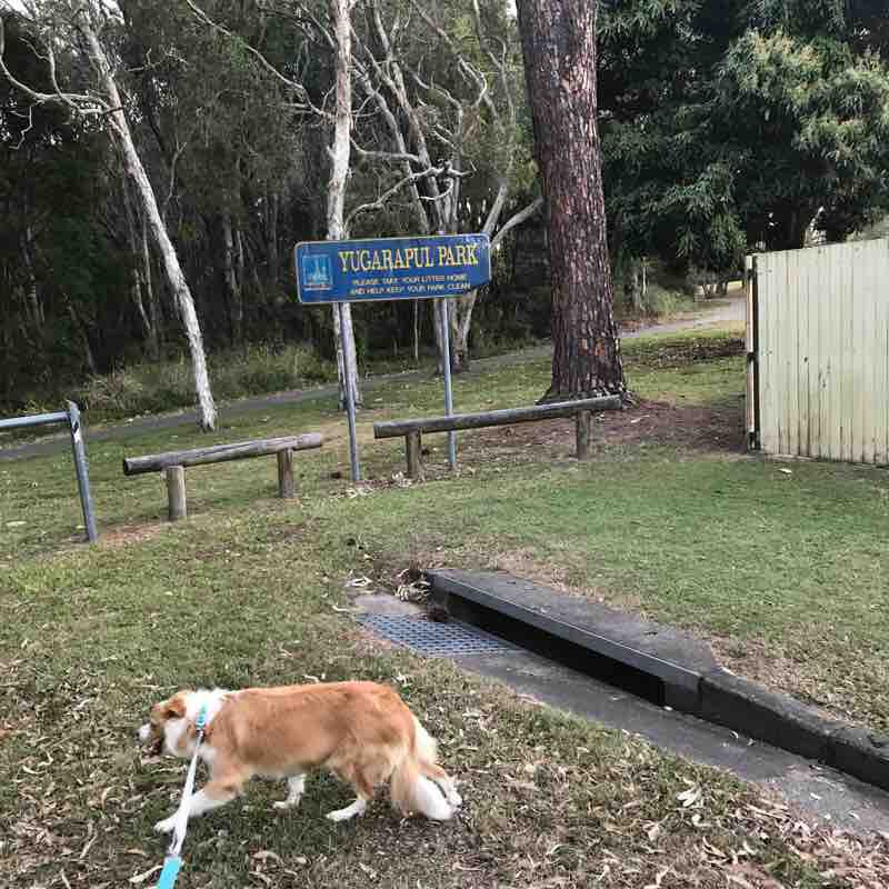 Pine forest trails are finally here dog park walking route map in Runcorn