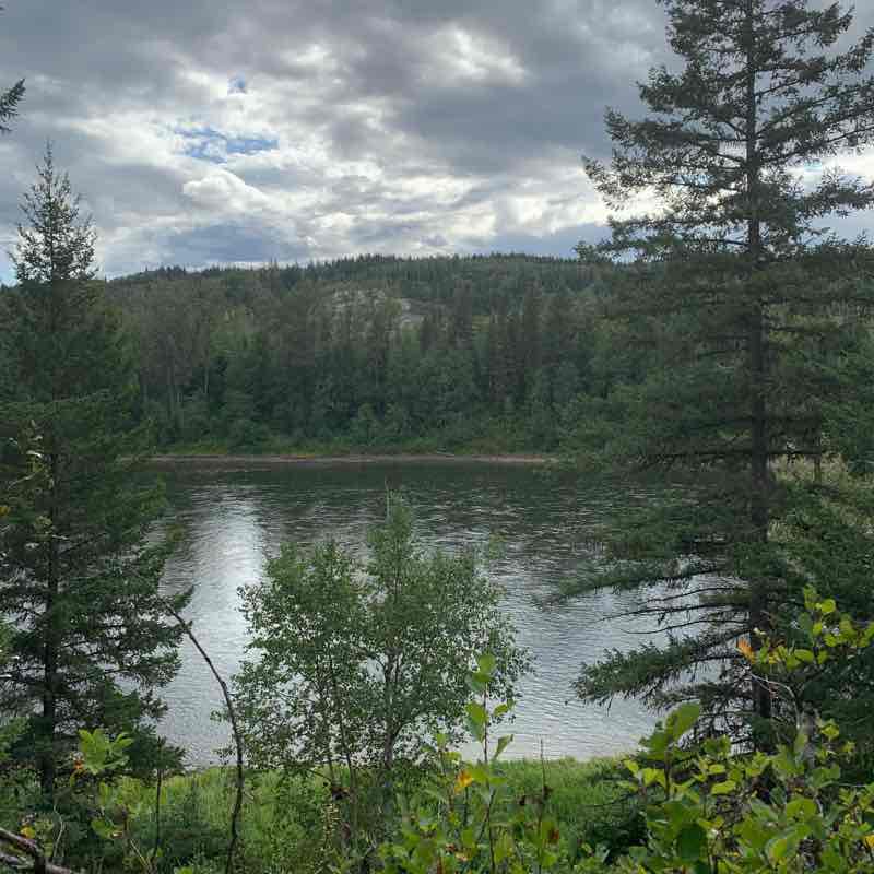 Foothills park Walk Prince British Columbia, Canada Pacer