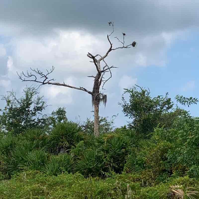 Lake park loop walking route map in Port Charlotte