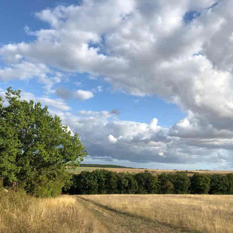 The courtly ballad walking route map in Druyes-les-Belles-Fontaines