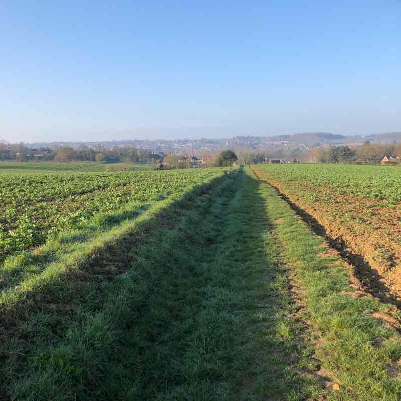 Halstead, North & East walking route map in Halstead