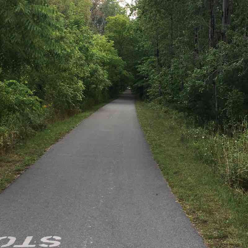 Oden to Alanson walking route map in Alanson