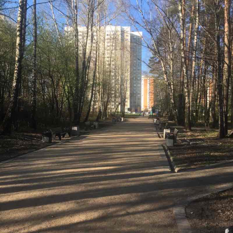 Прогулка по парку было тепло погода хорошая.