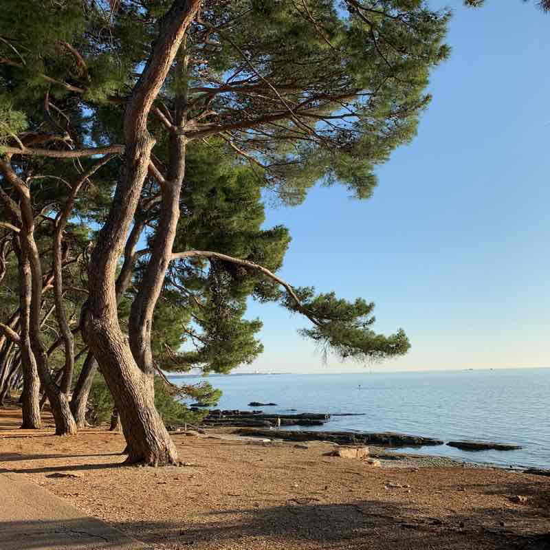 From Basania to Monterol walking route map in Zambratija