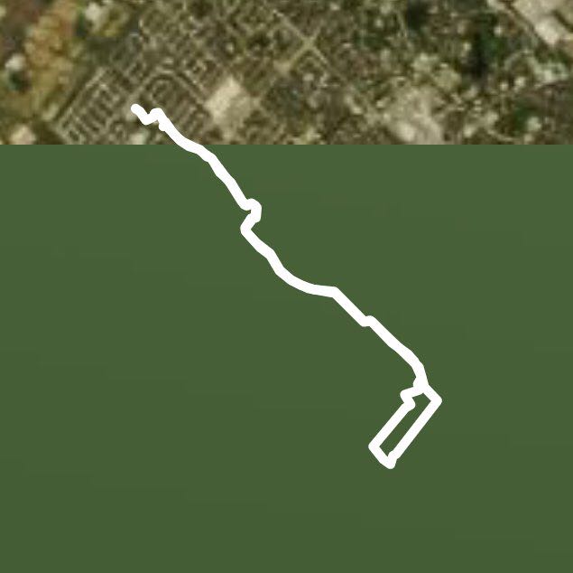 Lisgar Meadow Trail Walk