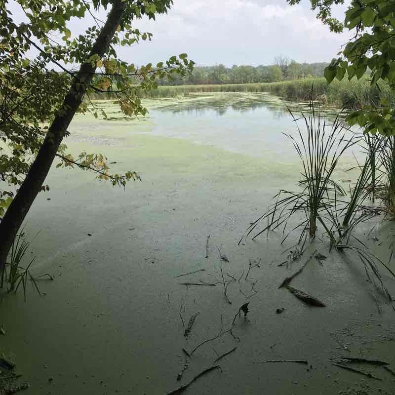 Kettle morain Loew Lake walking route map in Colgate