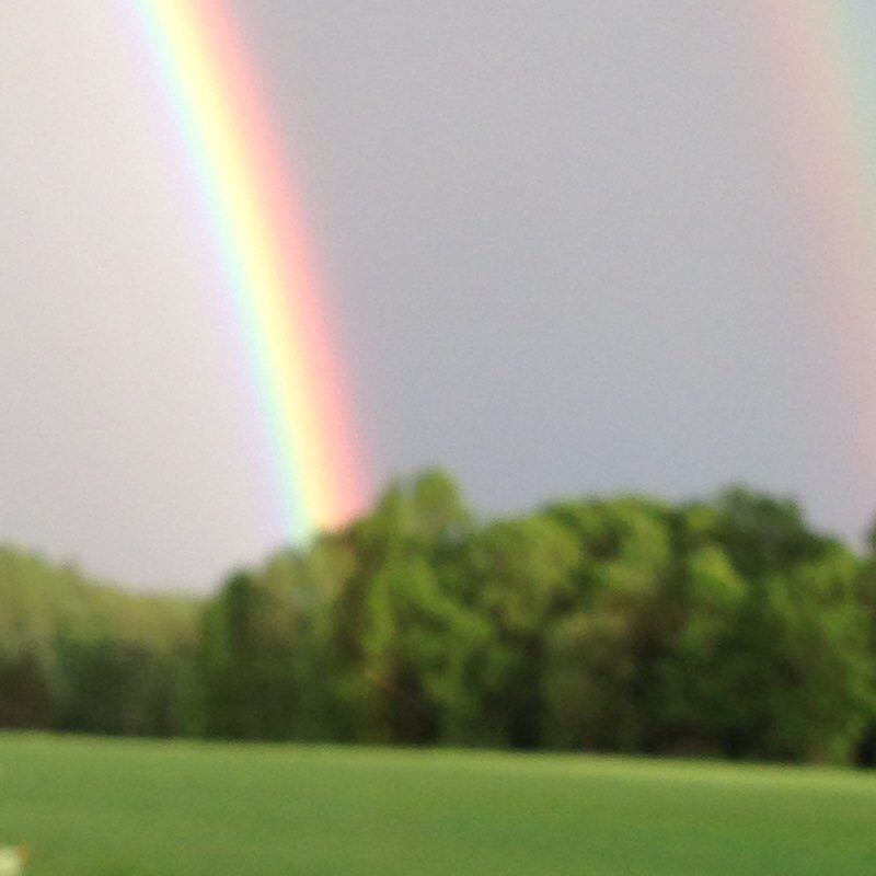 Red Banks walking route map in Gillett