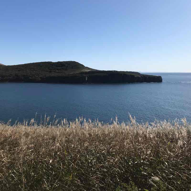 🇷🇺Vladivostok✈ walking route map in Russkiy