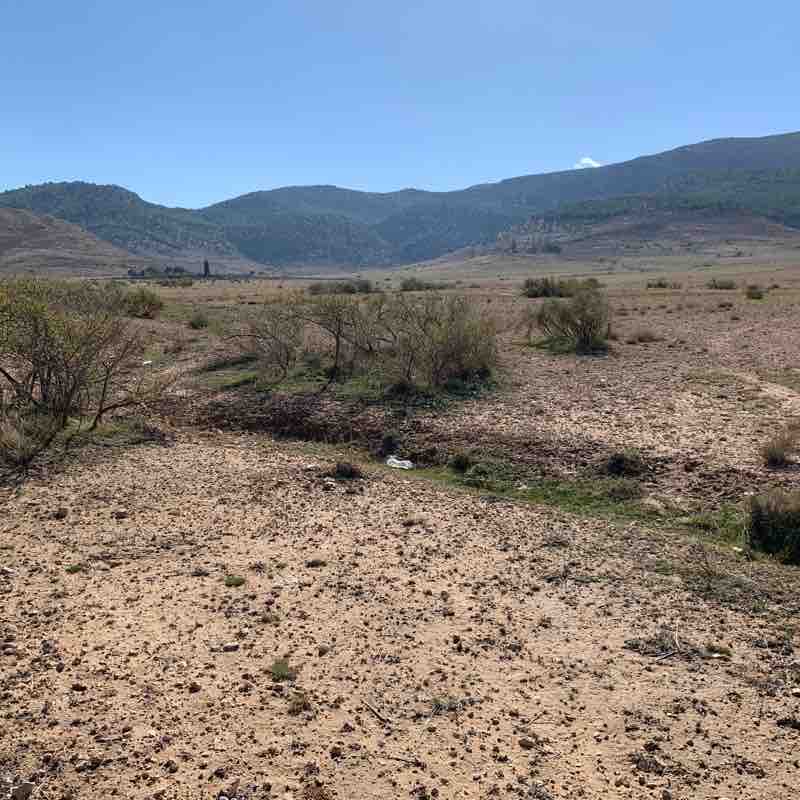 Batna walking route map in Timgad