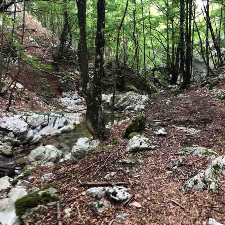 Sorgente Capofiume Collepardo Fr