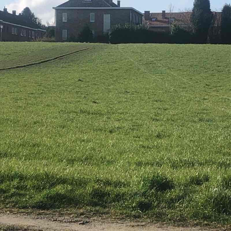 Aller faire les courses à pieds