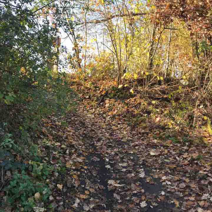 Promenade Ravel repérage pour promenade 🐴