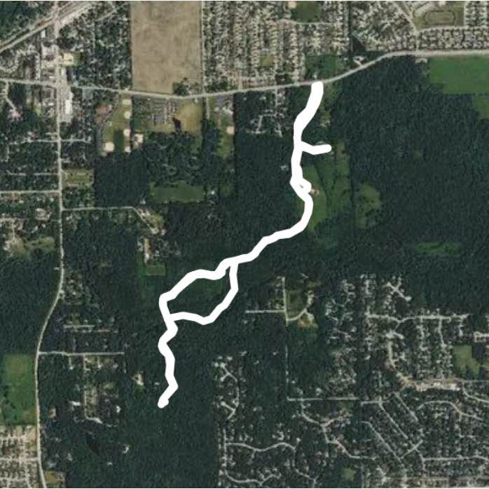 VH Woods walking path