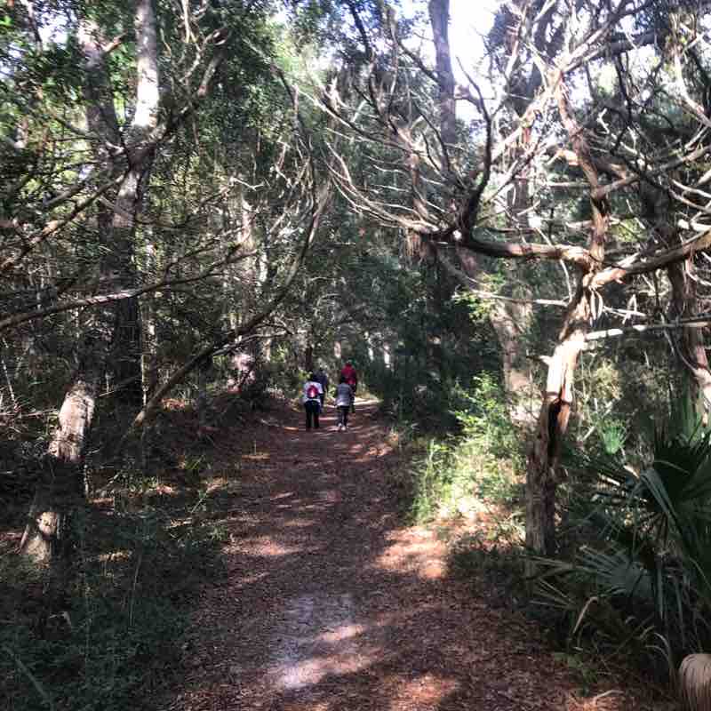 Little Talbot Island