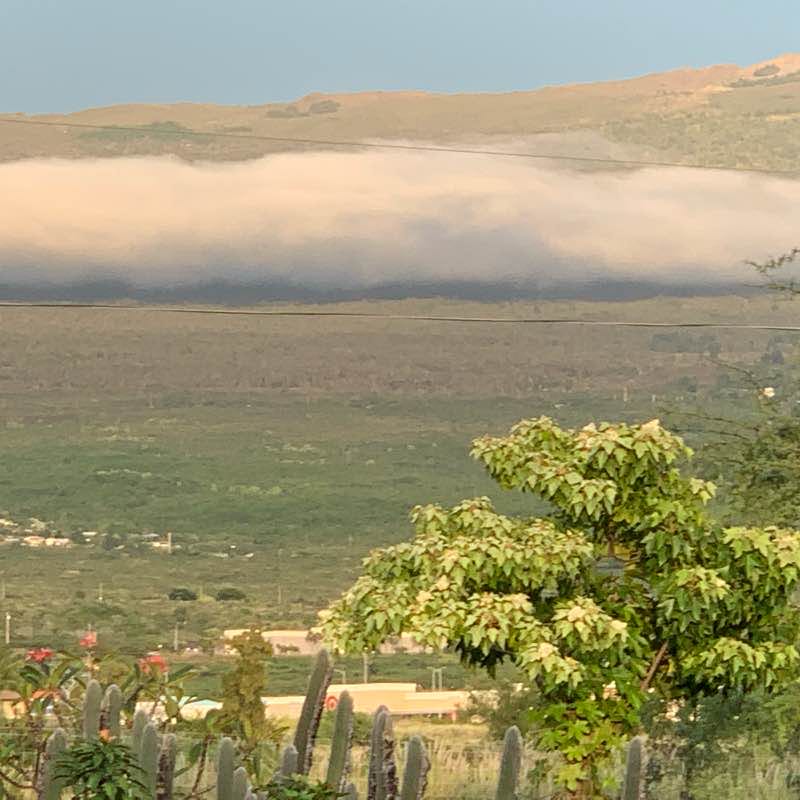 Will walking route map in Holualoa