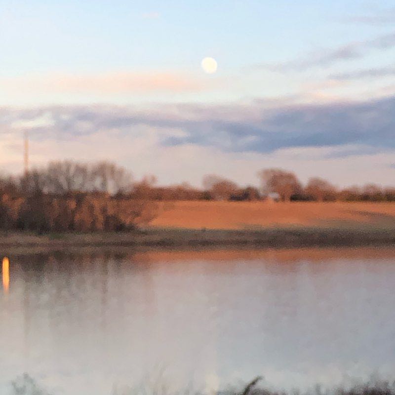 Oak Point Park Walk walking route map in Parker