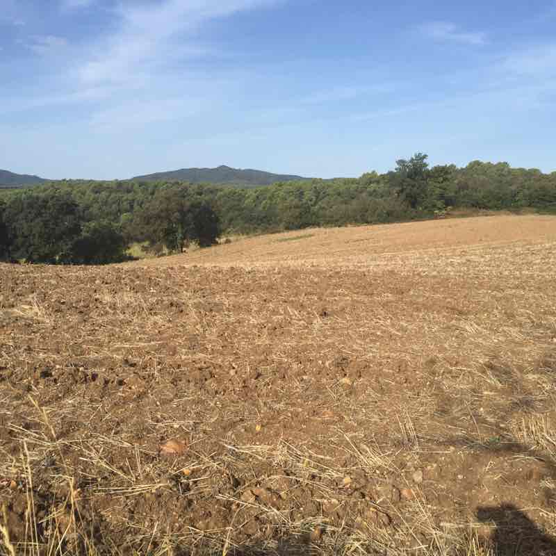 Monells i Planils walking route map in Corçà