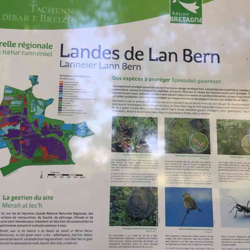 Les landes de lann bern walking route map in Glomel