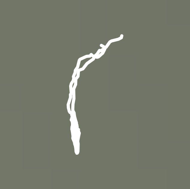 Lamar to Taminat back and forth