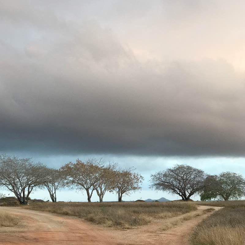 Charters Towers Airport walking route map in Toll