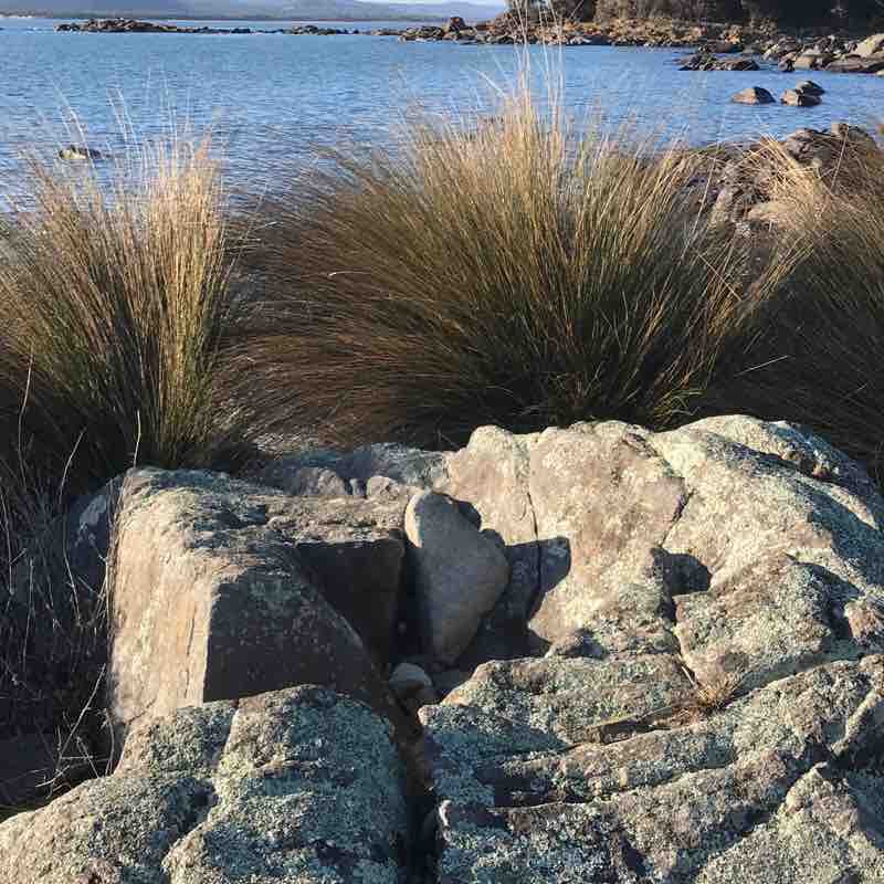 larooma-national-park-walking-map