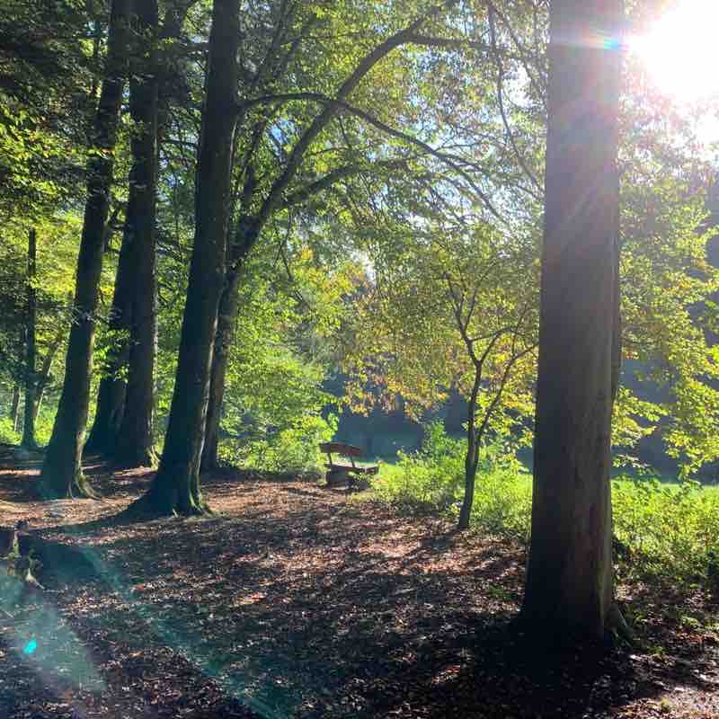 Round hike in the Laufental walking route map in Duggingen