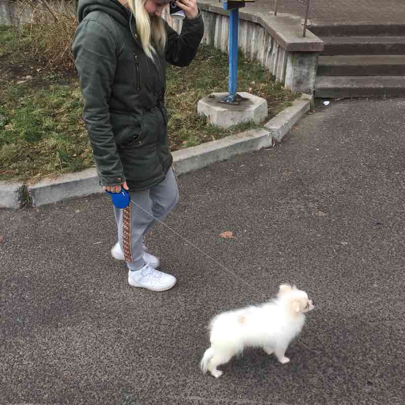 Прогулка по Познякам