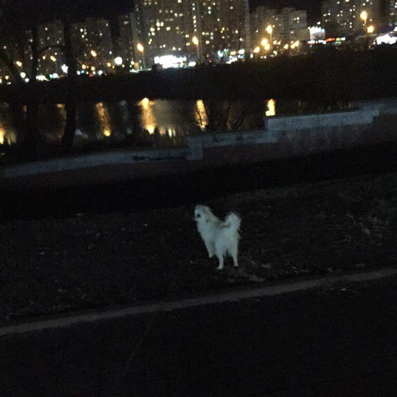 Прогулка до парка «Позняки «