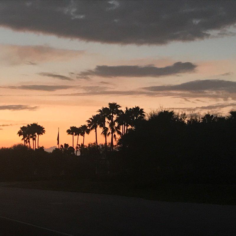 True 10 miler walking route map in North Beach