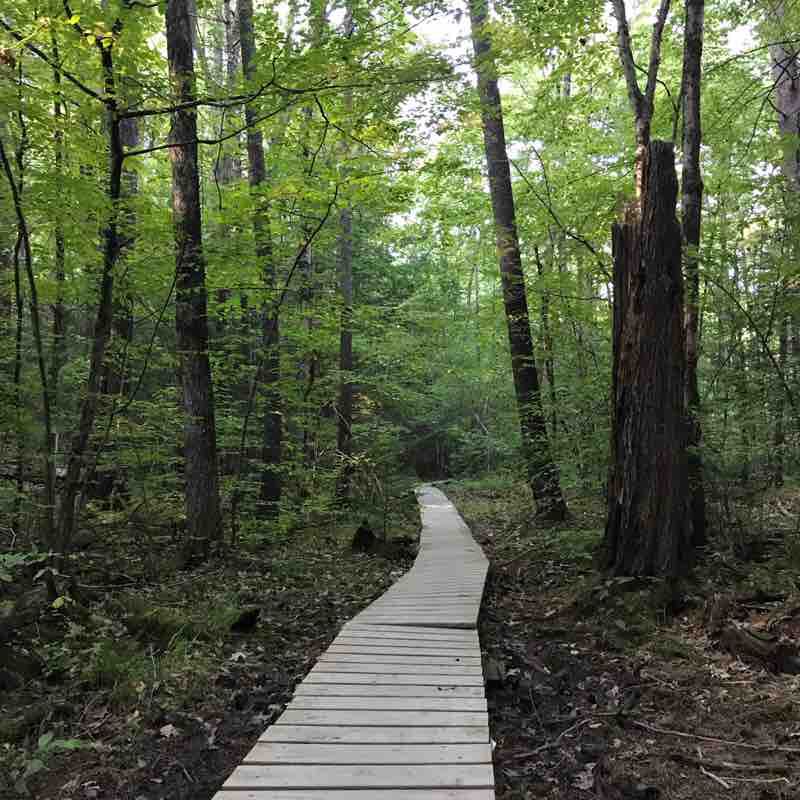 Newfields Run Trail Exeter, New Hampshire, USA Pacer