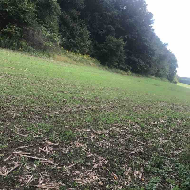 Pine trail  walking route map in Lone Rock