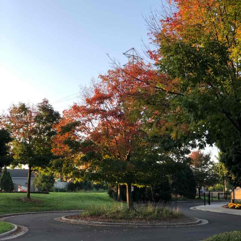 Car repair to breakfast 