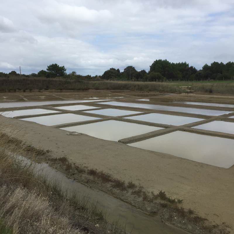 In the land of Sauniers walking route map in Le Château-d'Oléron