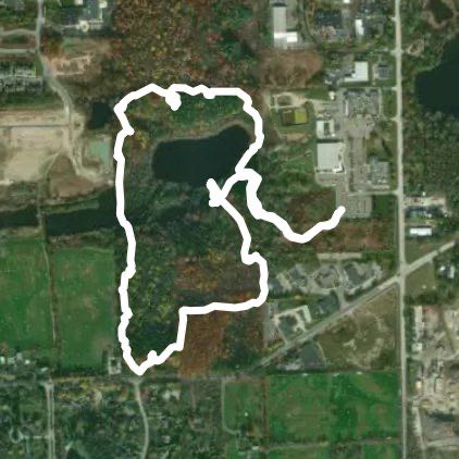 Saginaw Forest Loop