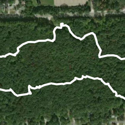 Bauervic Woods Nature Preserve Loop