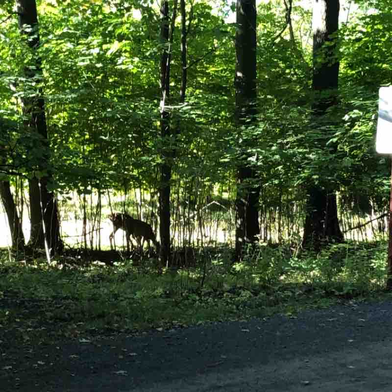 Parc du Mont Saint-Bruno