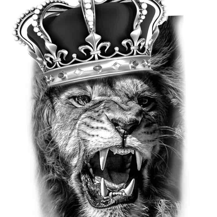 Caminatas de alco villa bosch