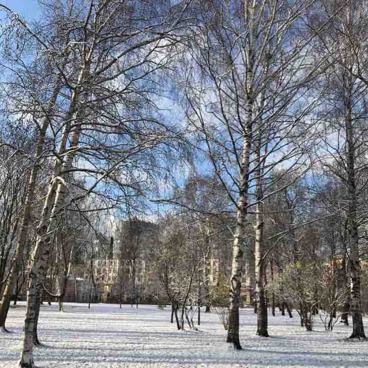 Петровский парк