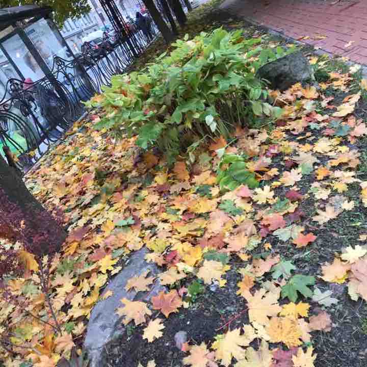 Около Чкаловской