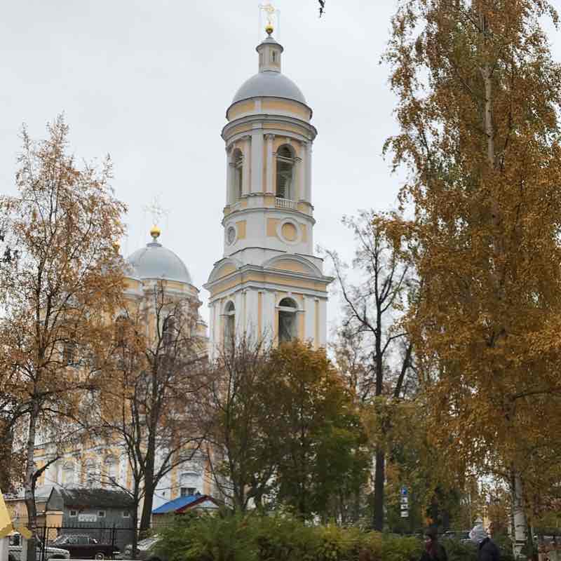 Малый проспект ПС, Князь-Владимирский собор