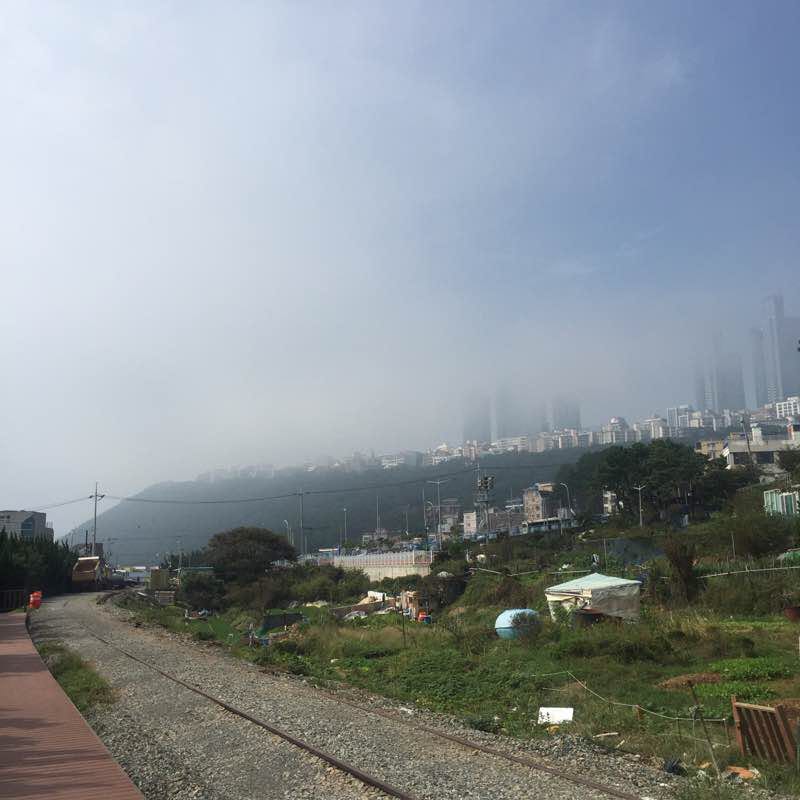 송정~청사포 왕복.