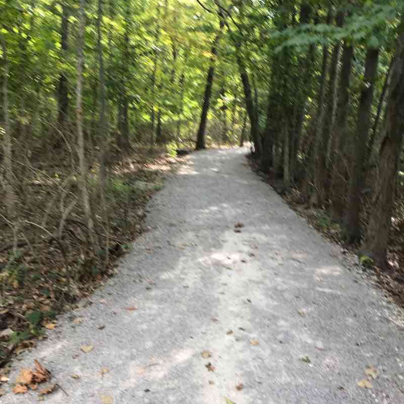 Maclvor Trail walking route map in Marysville
