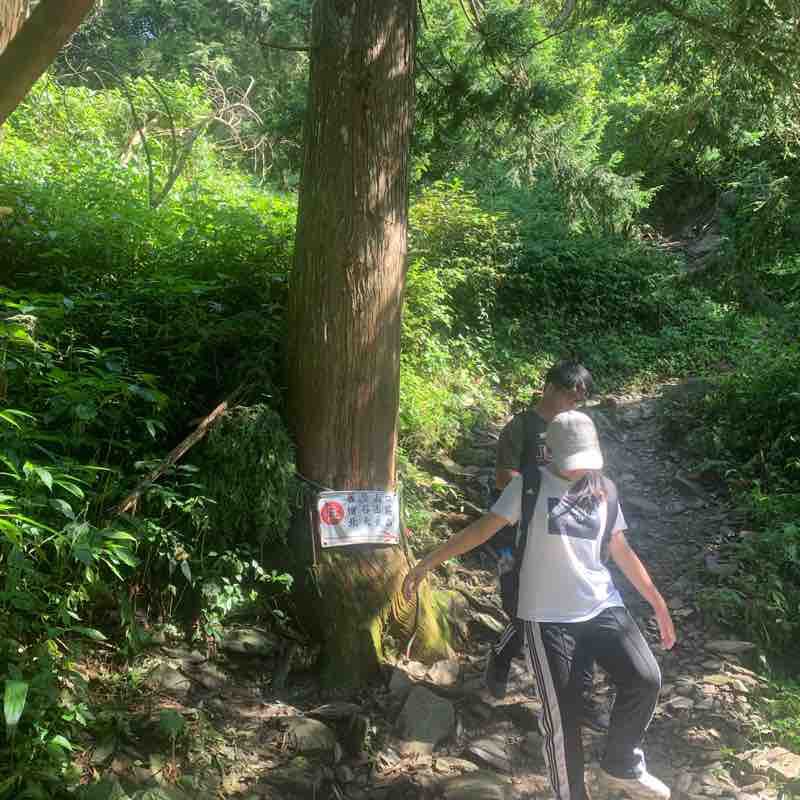 日真湯山至大武山登山口