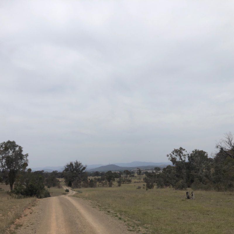 Gurooyaroo in Canberra walking route map in Throsby